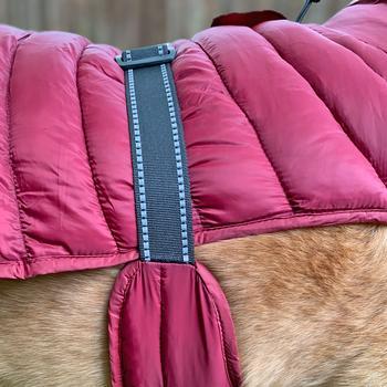 Doggie design outlet alpine coat