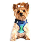 American River Choke-Free Dog Harness - Northern Lights Ombre, Collars and Leads, Furbabeez, [tag]