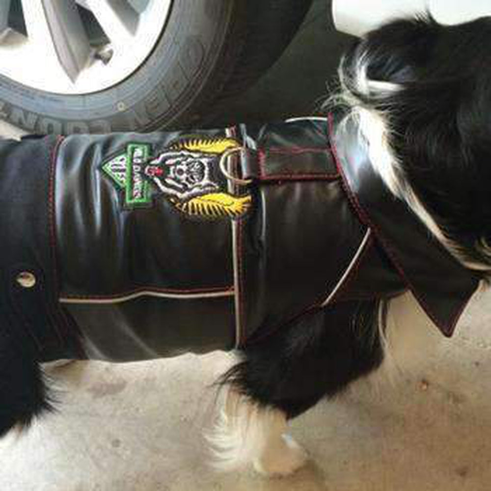 Chaos dog harness best sale