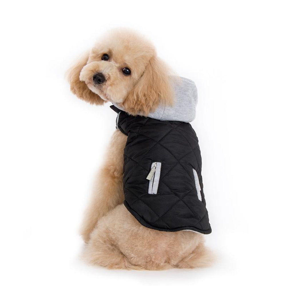 Dogo jacket deals