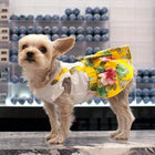 Floral Suspender Dog Dress, Pet Clothes, Furbabeez, [tag]