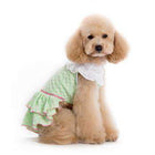 Little Flower Dog Dress, Pet Clothes, Furbabeez, [tag]