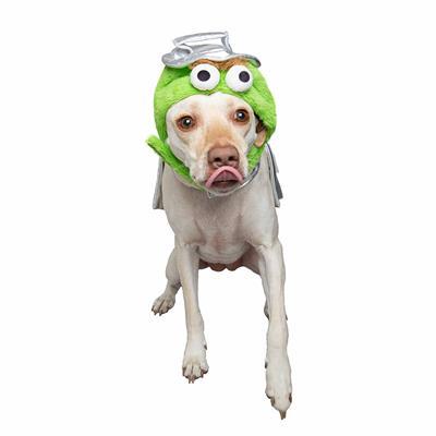 Oscar the Grouch Pet Dog Costume Pet Clothes Pet Krewe 