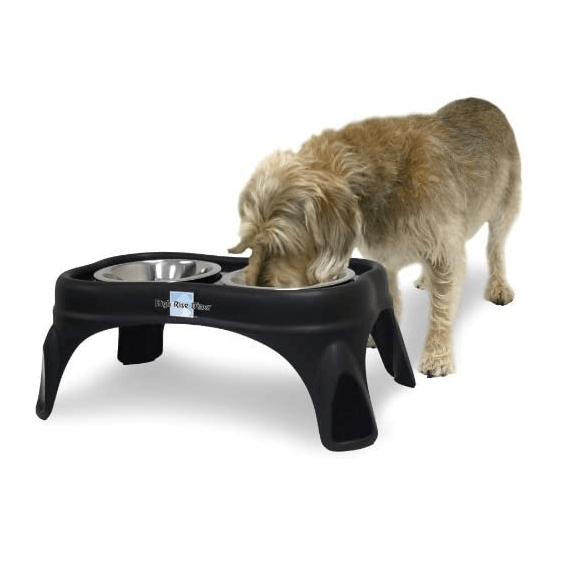 High rise clearance dog feeder