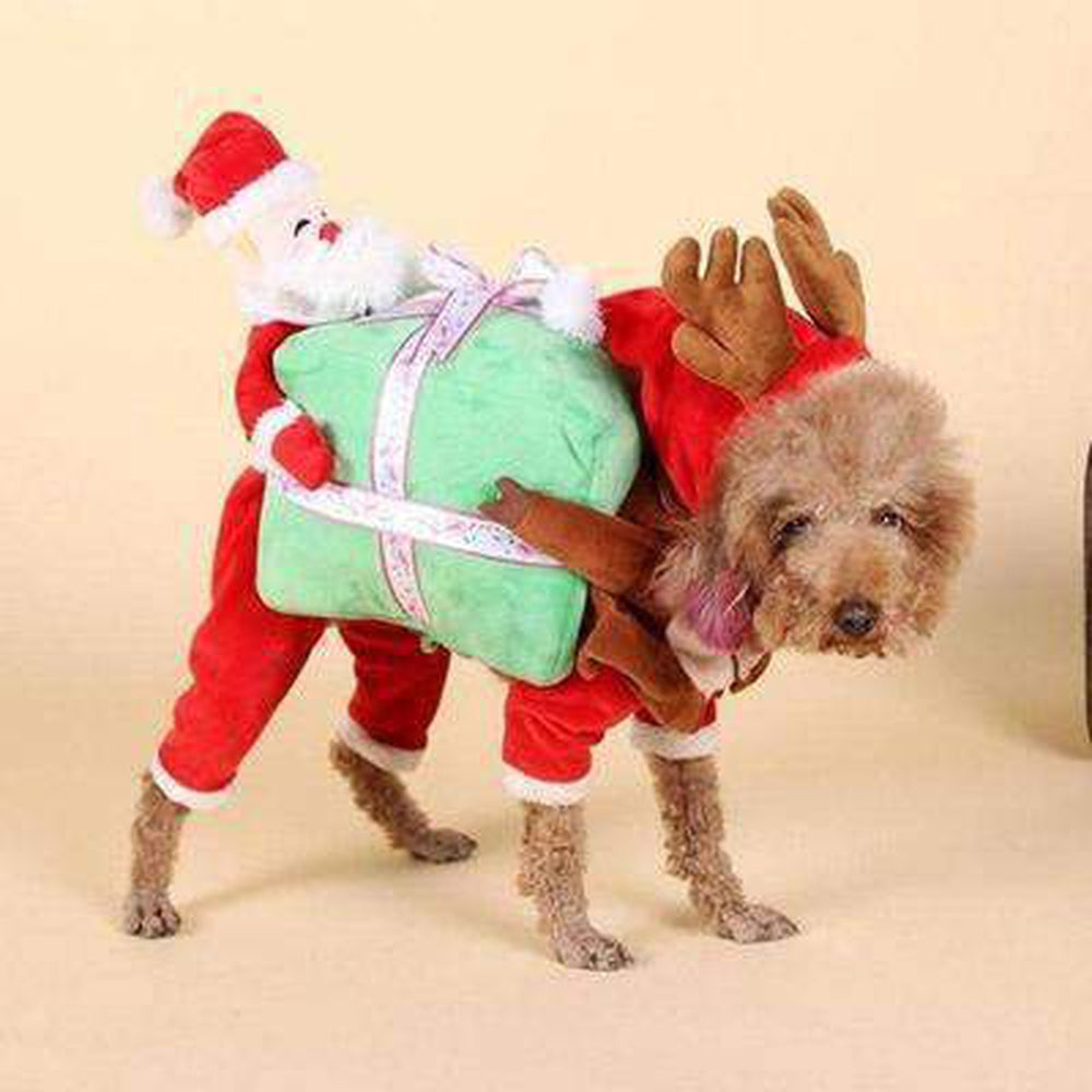 Santa Claus Dog Carrying Present Costume Furbabeez